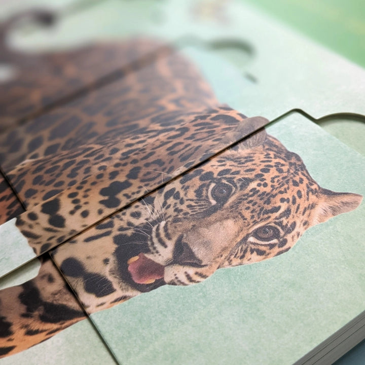 Little Wonders Puzzle Slider Book - Jungle Animals - Mabel & Fox
