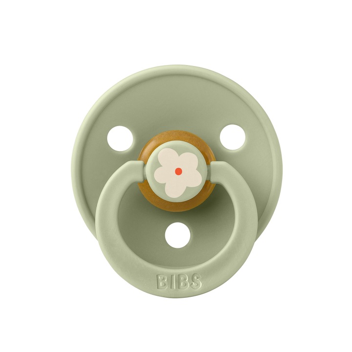 Bibs - Studio Colour Jasmine Pacifier - Sage - Mabel & Fox