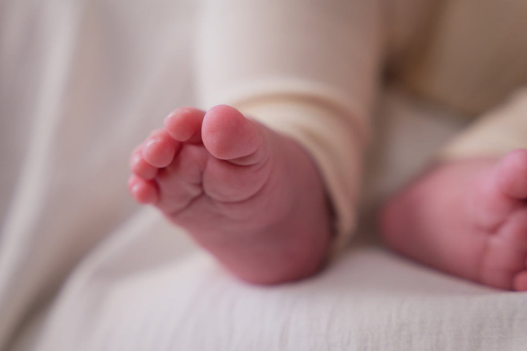 Petit Artichaut - Baby Imprint Round Box - Little Prairie - Mabel & Fox