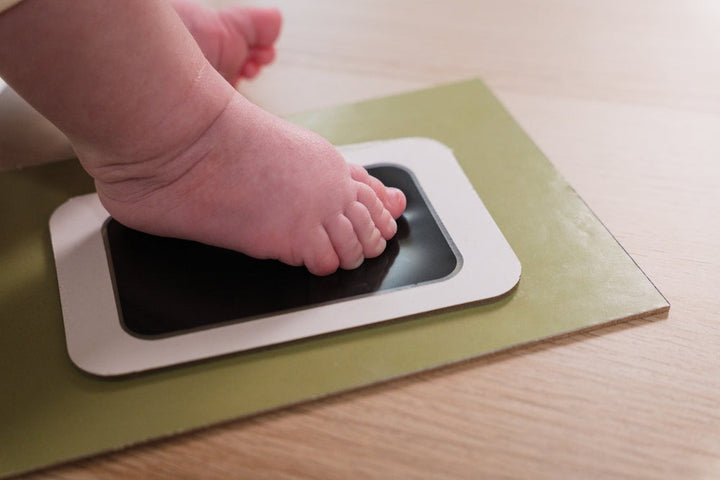 Petit Artichaut - My First Year