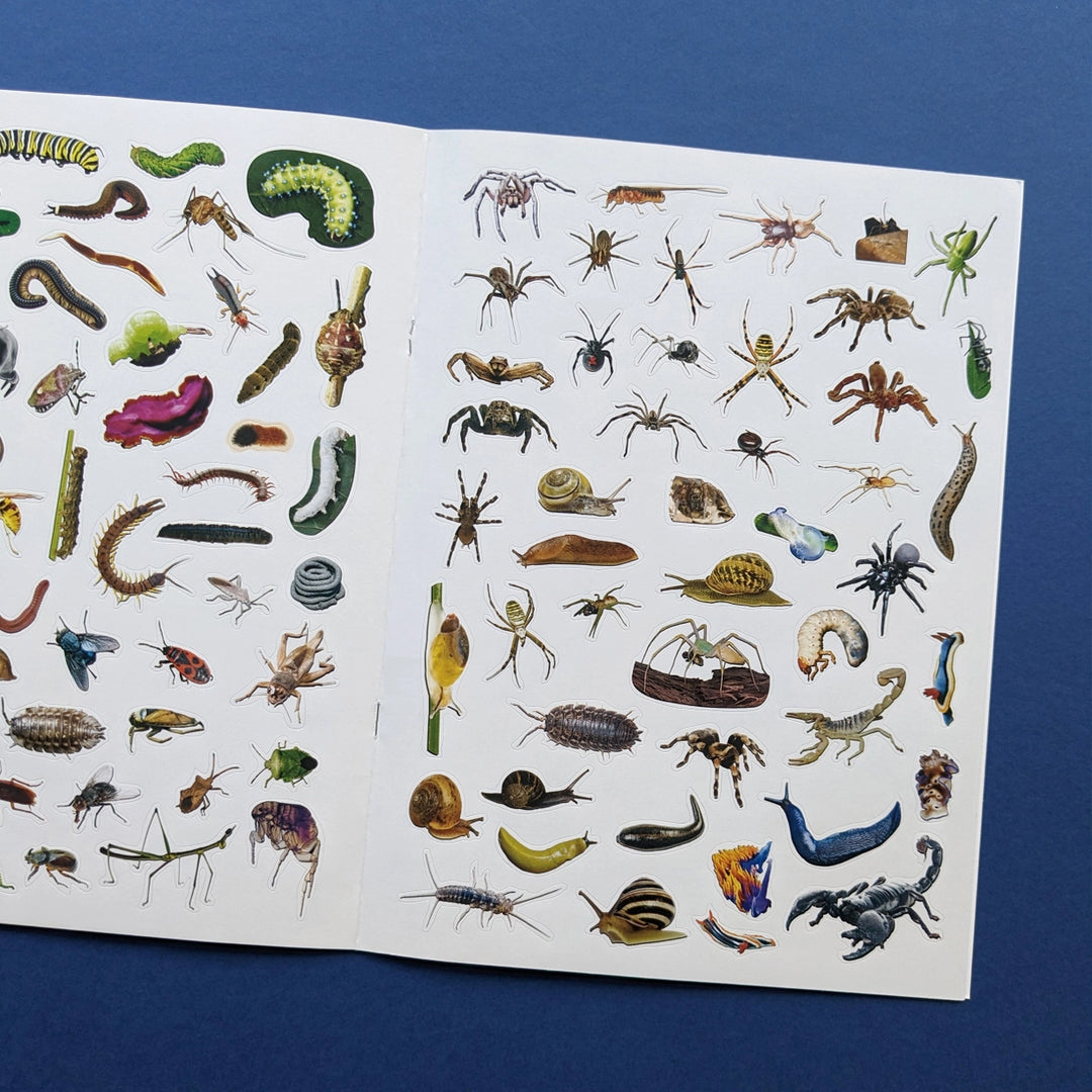 Sticker Book - Discover Bugs