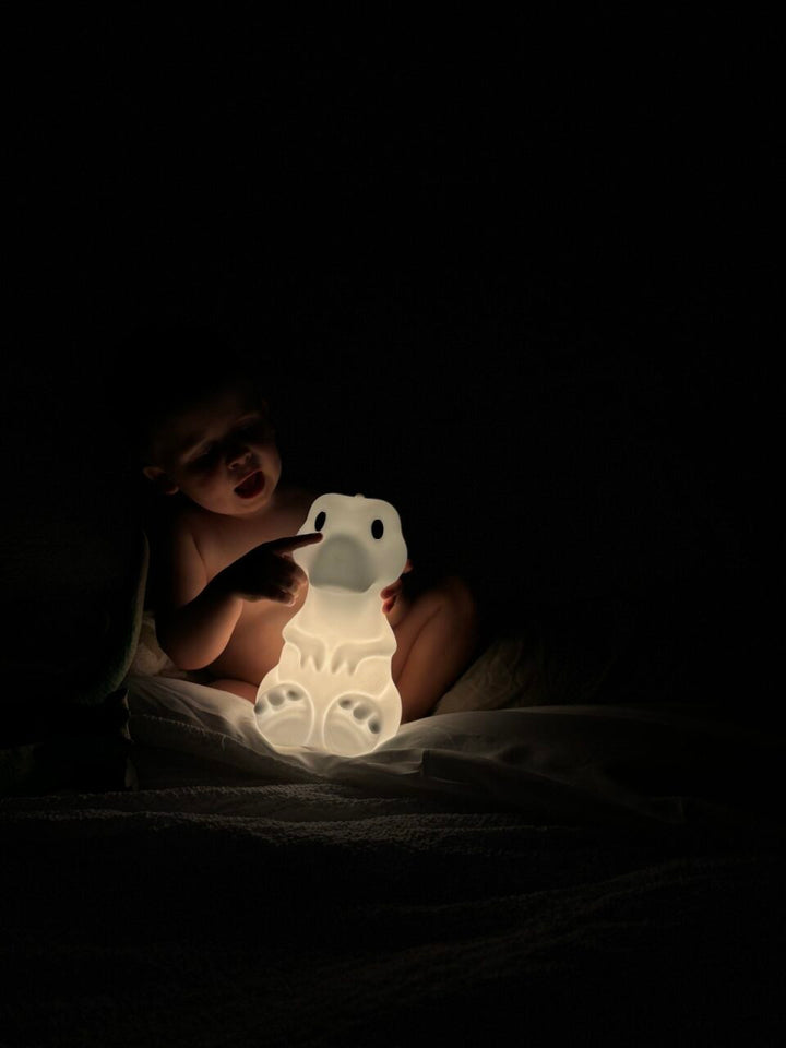 Mr Maria - First Light - Dinosaur - Rena (25cm)