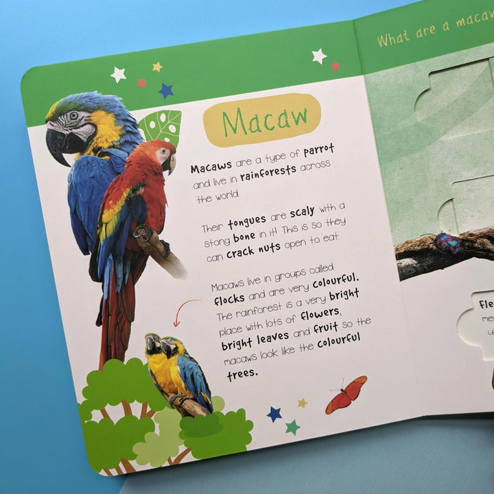 Little Wonders Puzzle Slider Book - Jungle Animals - Mabel & Fox