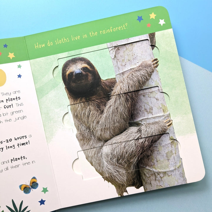 Little Wonders Puzzle Slider Book - Jungle Animals - Mabel & Fox