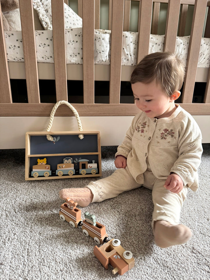 Speedy Monkey -  Train Set Display Case