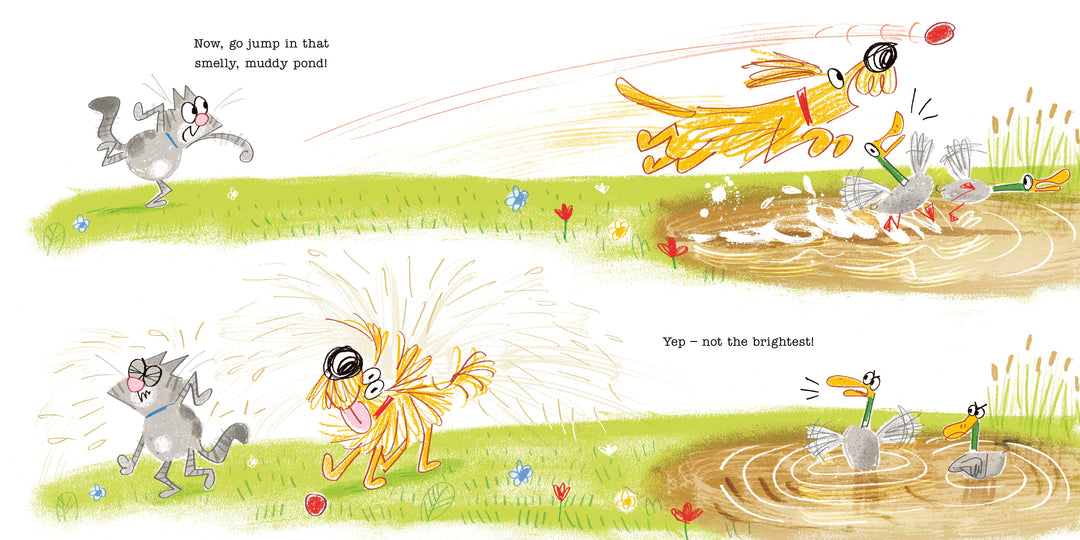 All You Need To Know About Dogs By A Cat