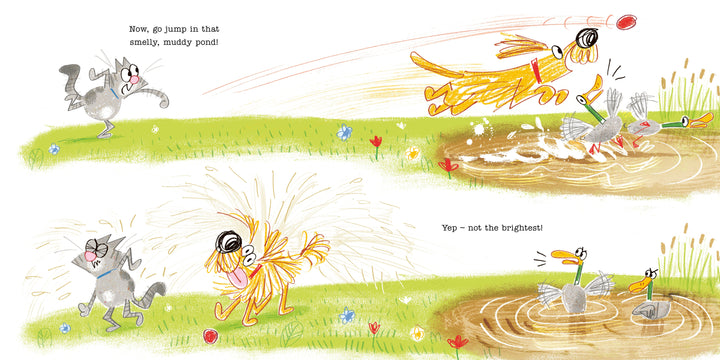 All You Need To Know About Dogs By A Cat