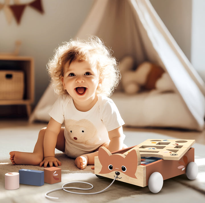 Speedy Monkey - Fox Blocks Cart