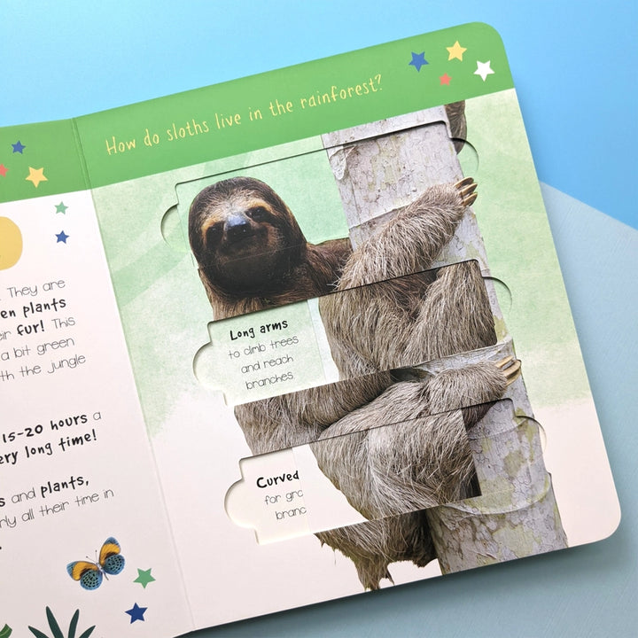 Little Wonders Puzzle Slider Book - Jungle Animals - Mabel & Fox