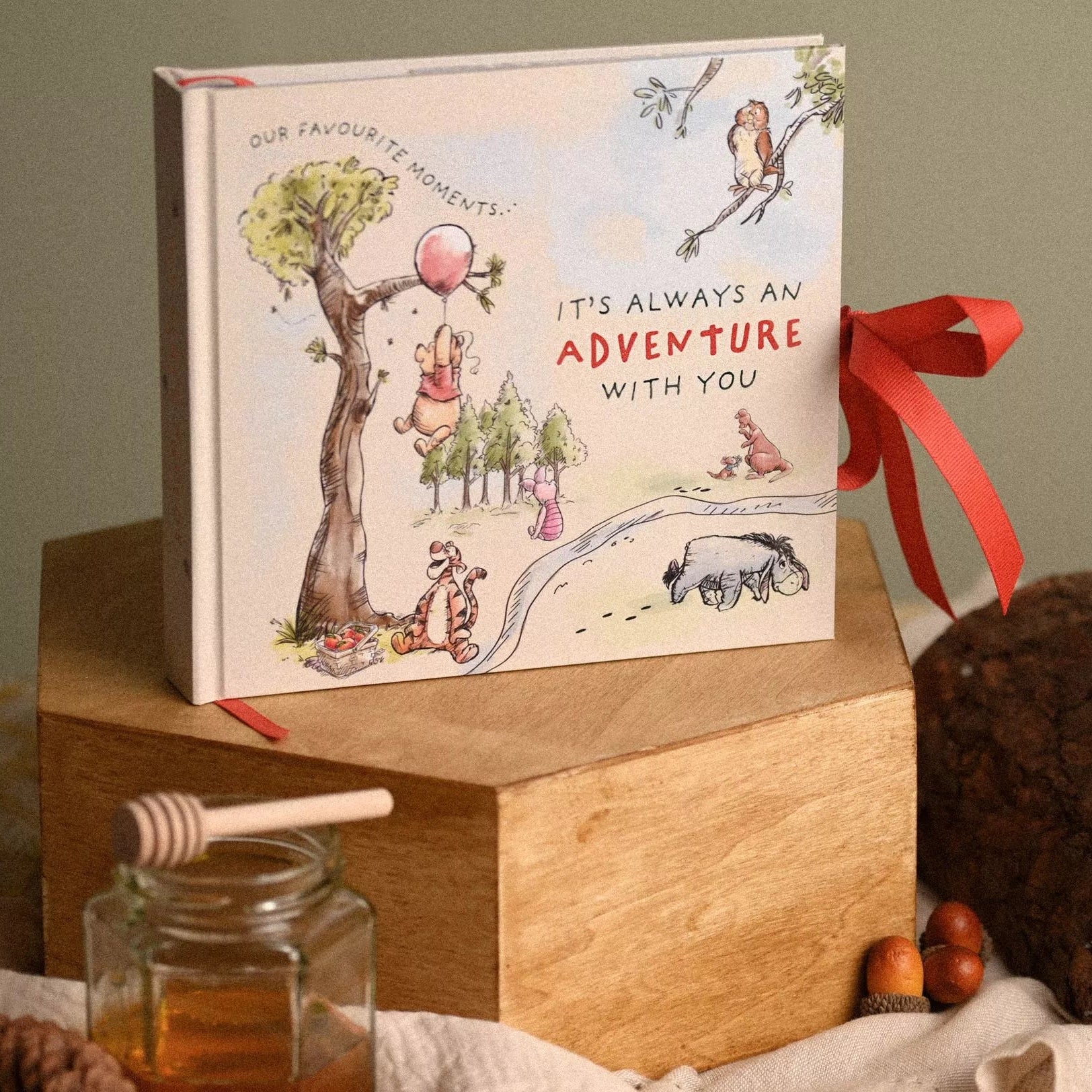 Disney - Winnie the Pooh - Photo Album – Mabel & Fox