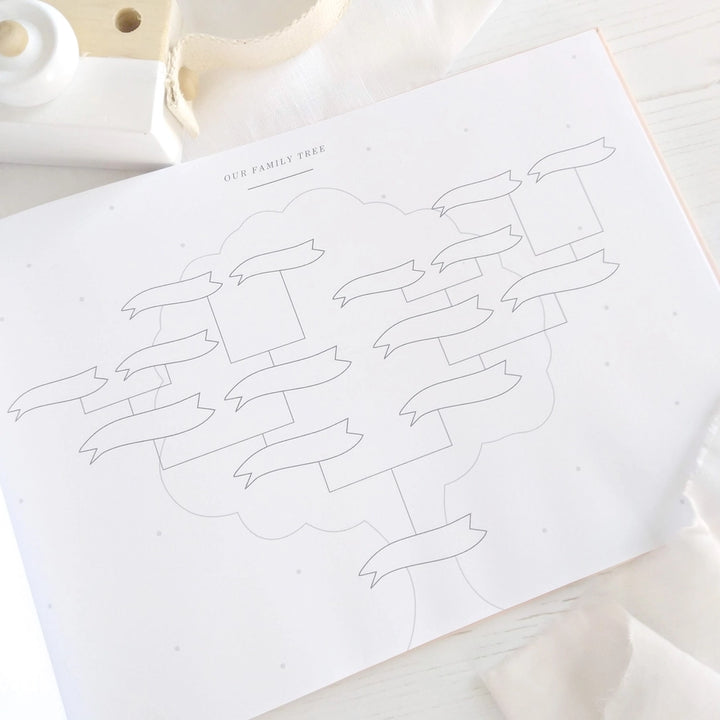 Blush & Gold - Baby Memory Book - Aqua - Mabel & Fox