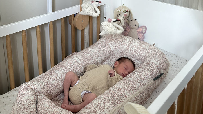Baby in a Dockatot Cot