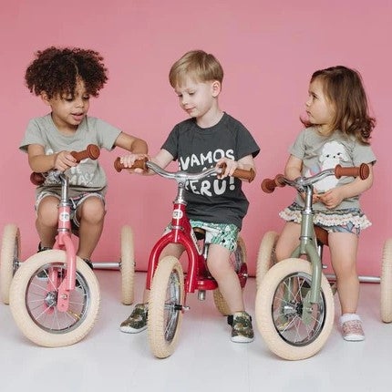 Trybike