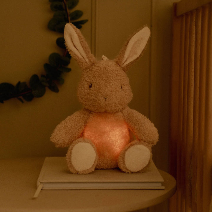 Little Dutch - Light & Sound Cuddle Bunny