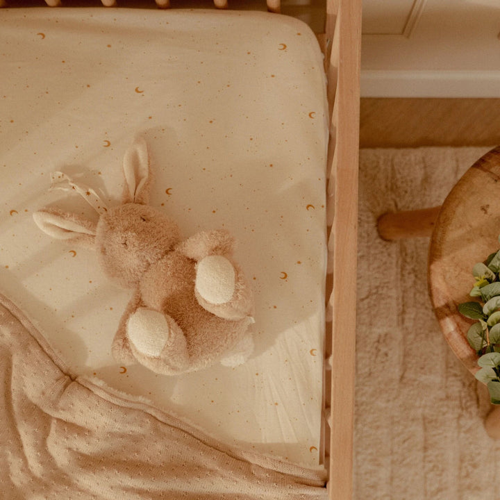 Little Dutch - Light & Sound Cuddle Bunny