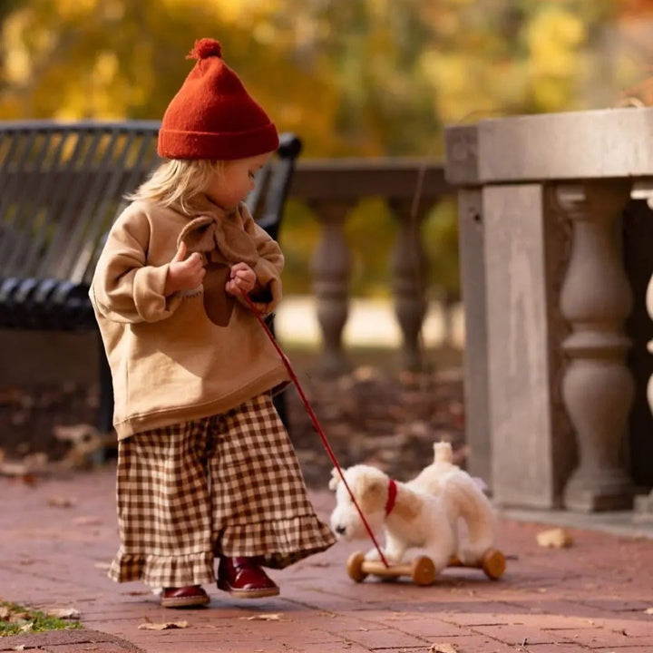 Egmont Toys - Pull Along Elliot Dog - Mabel & Fox