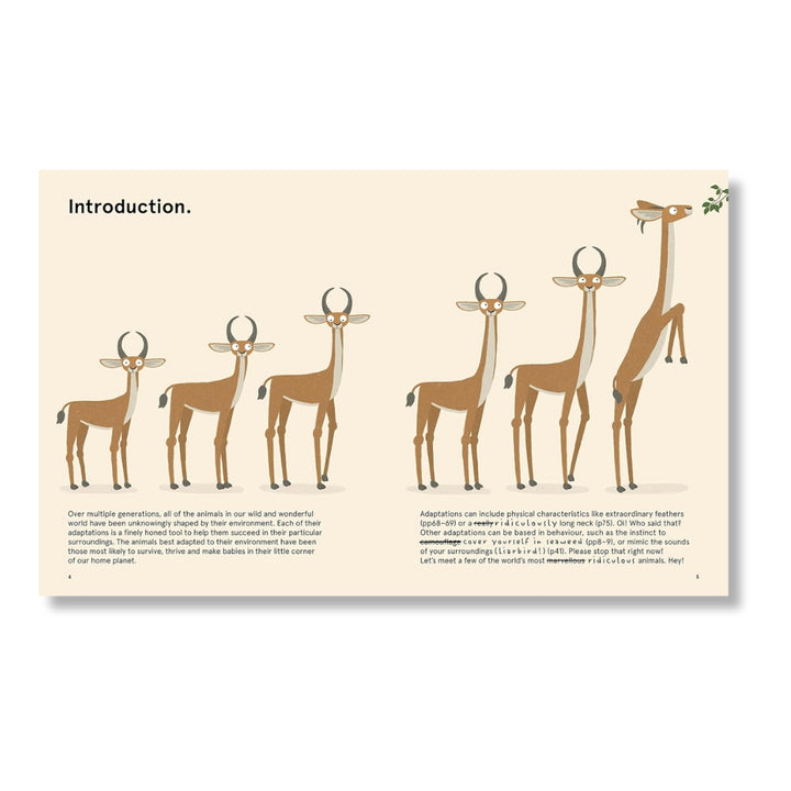 The World's Most Ridiculous Animals