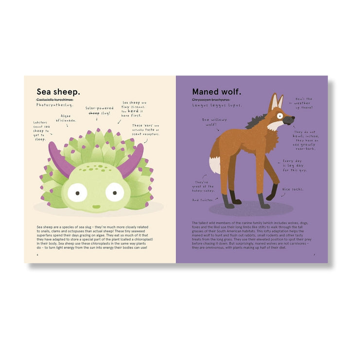 The World's Most Ridiculous Animals