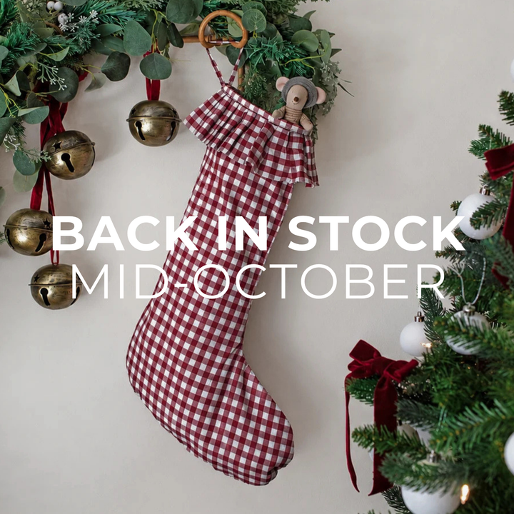 Mabel & Fox - Red Gingham Stocking