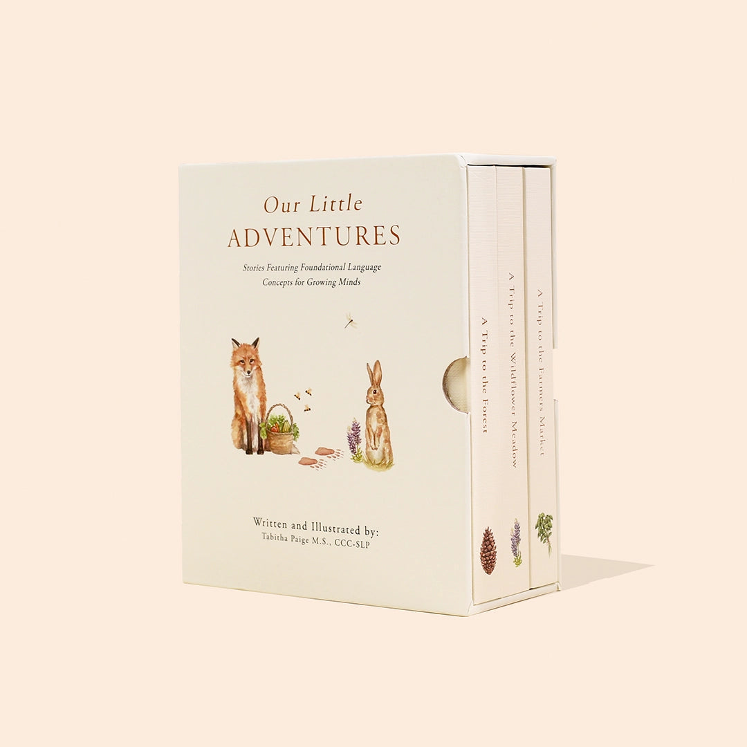 Paige Tate & Co. - Book Box Set - Our Little Adventures - Mabel & Fox