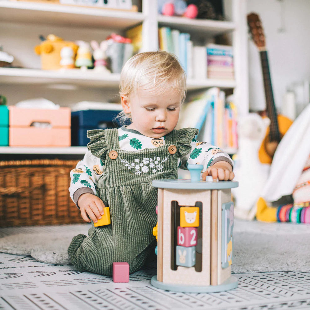 Bigjigs Toys - Rolling Activity Centre