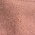 rose-pink-teddy
