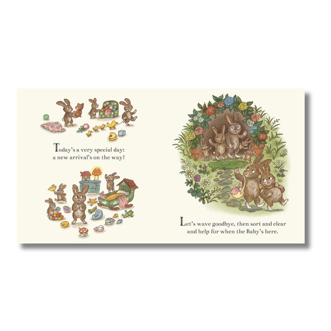 Brown Bear Wood: New Baby Bunny - 100 Newborn Things to Spot