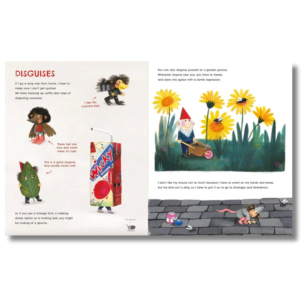 The Gnome Book