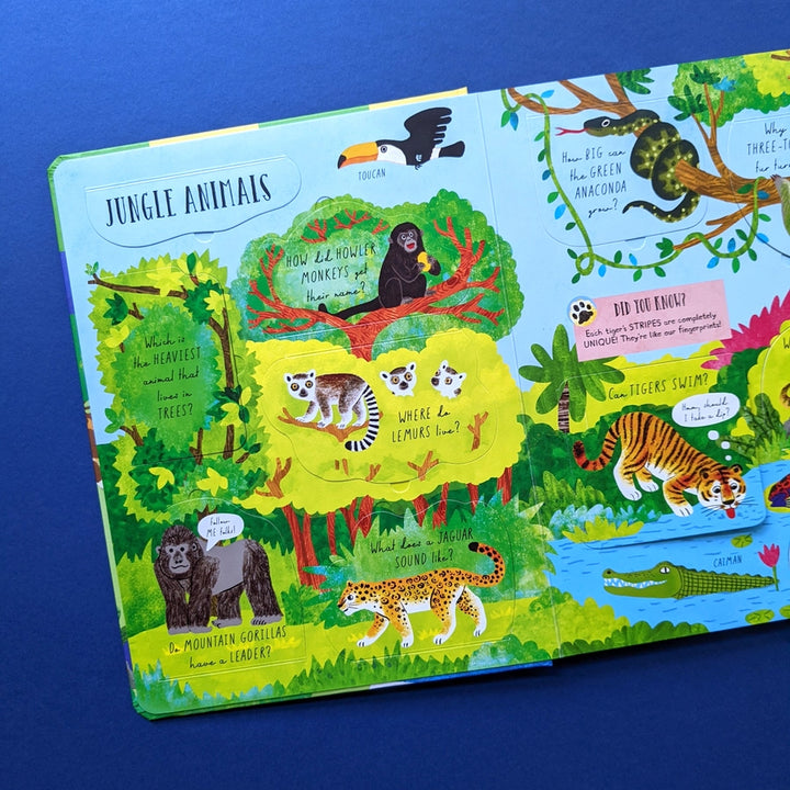 Question and Answer Flap Book - Animals