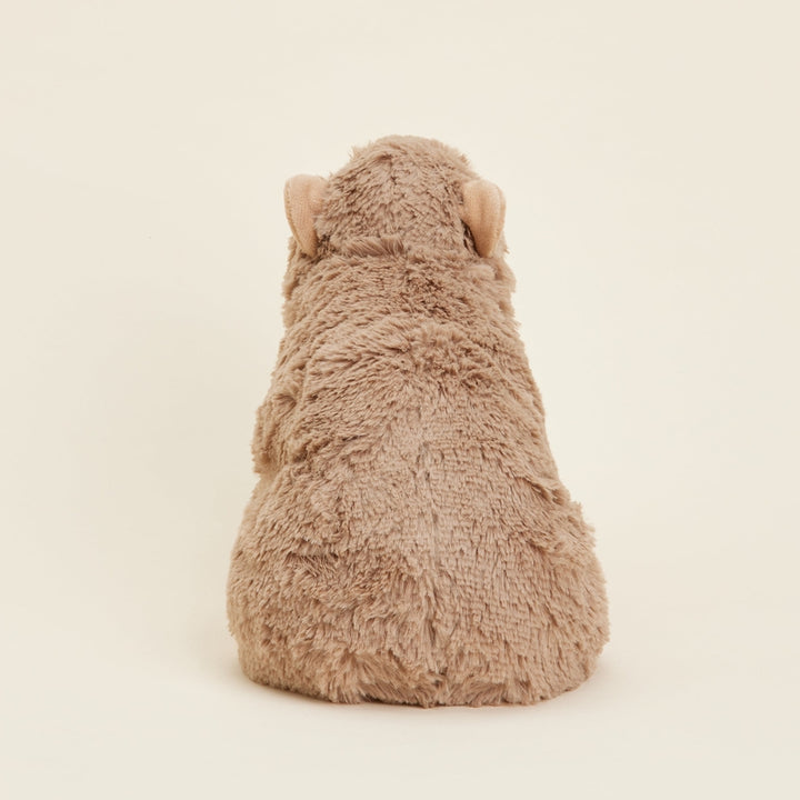 Warmies – Heatable Soft Toy – Capybara