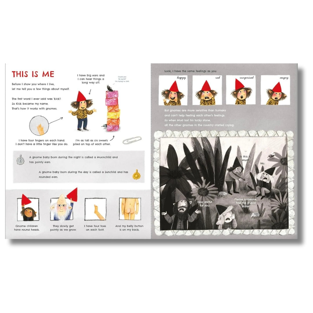 The Gnome Book