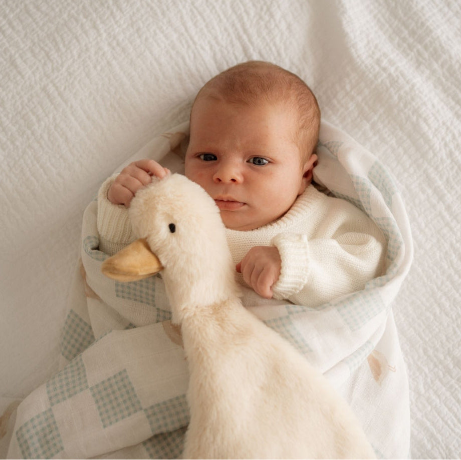 Pop Ya Tot - Comforter Toy - Waddles the Goose