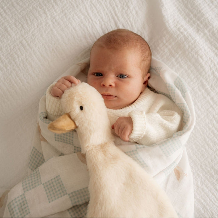 Pop Ya Tot - Comforter Toy - Waddles the Goose