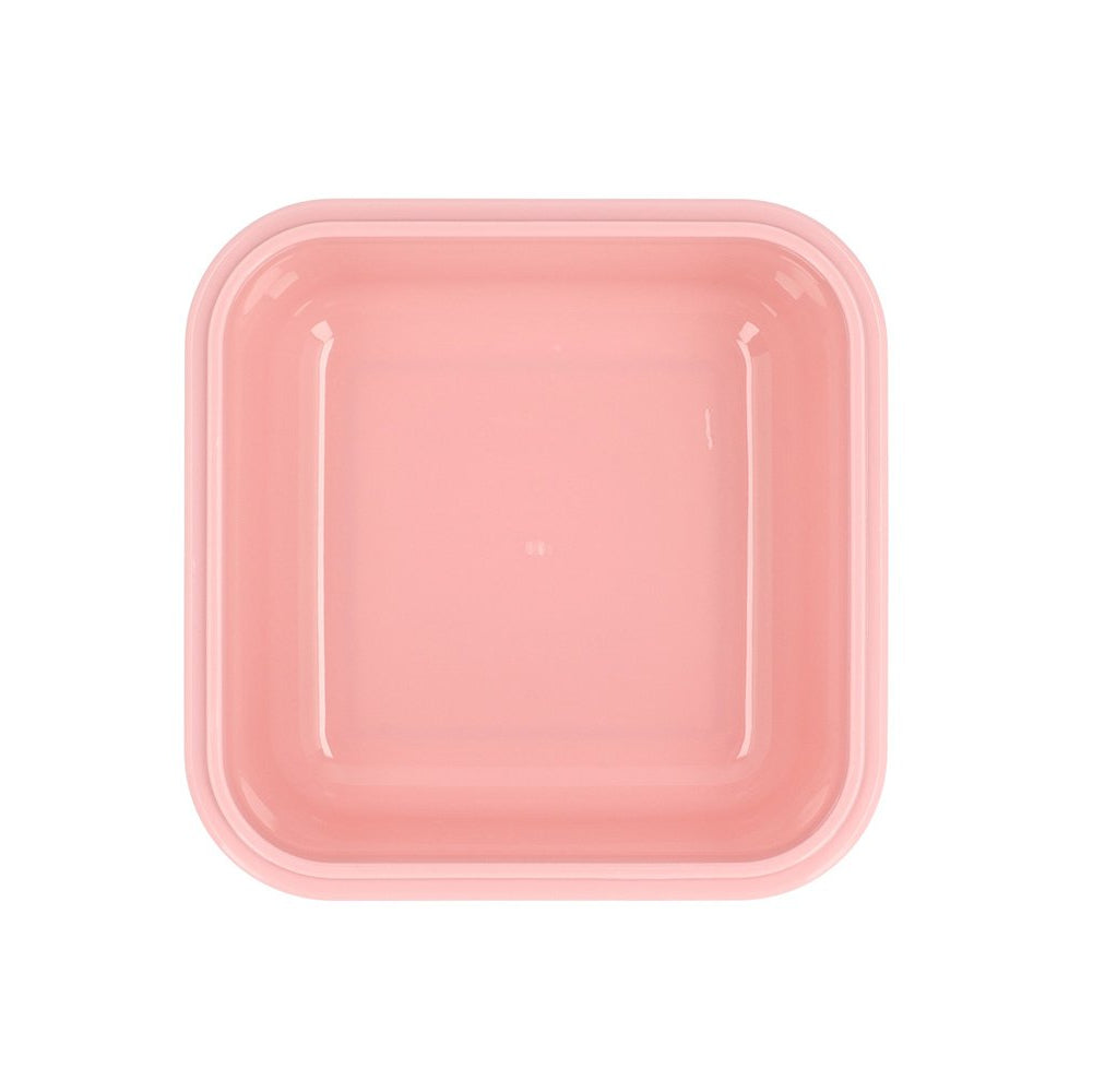 Tutete - Lunch Box - Bugs - Mabel & Fox