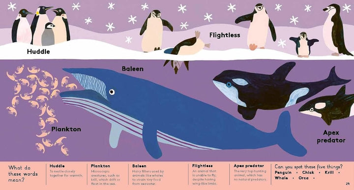 Animal Words For Little Zoologists