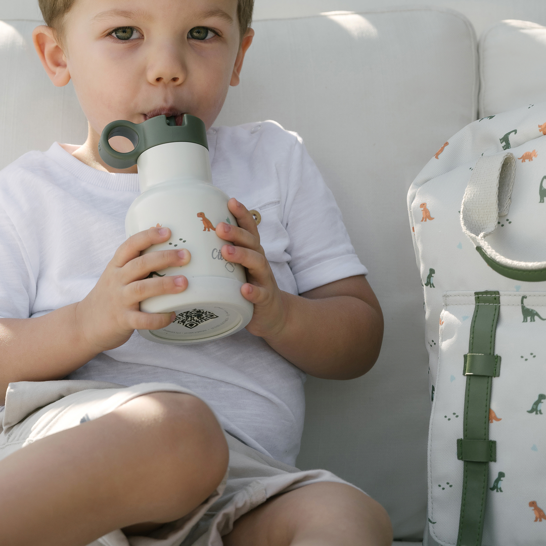 Citron - Triple Wall Insulated Water Bottle - Dino (250ml)