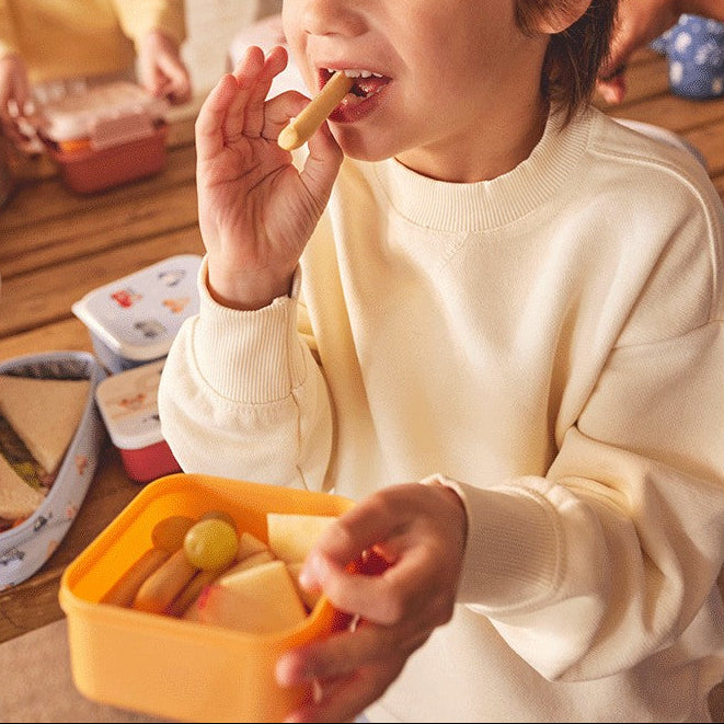 Tutete - Lunch Box Set - Geometric Nature (3 Pack) - Mabel & Fox