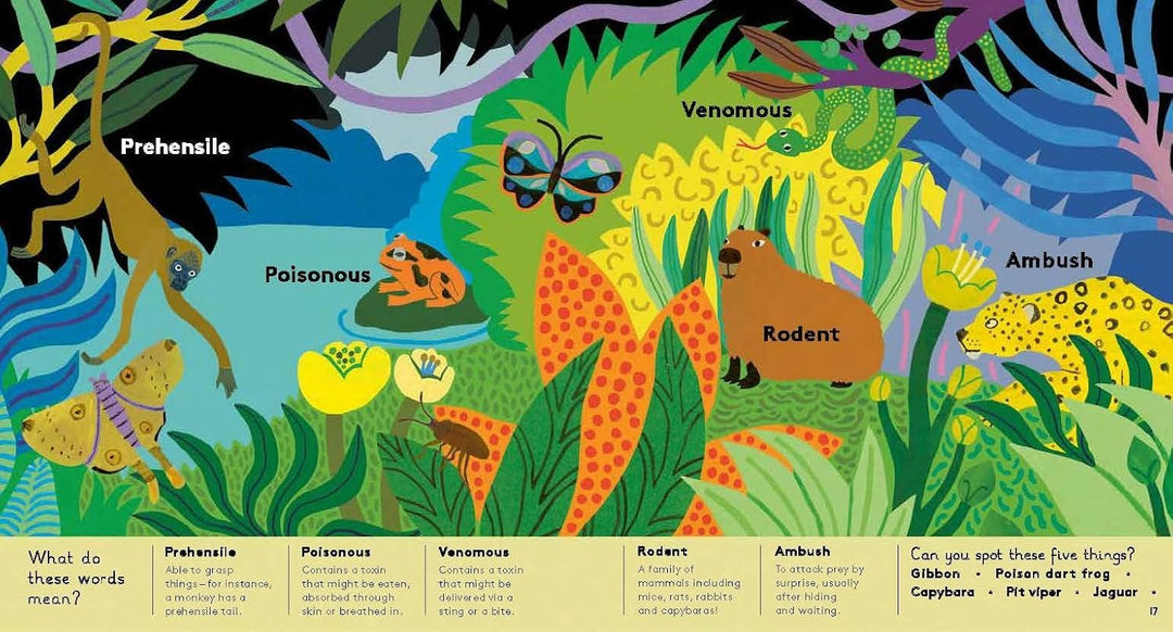 Animal Words For Little Zoologists