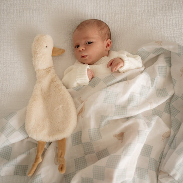 Pop Ya Tot - Comforter Toy - Waddles the Goose