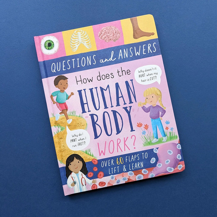 Question and Answer Flap Book - Human Body