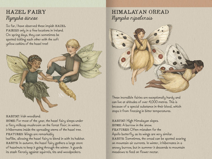 Find the Fairies: A Memory Game