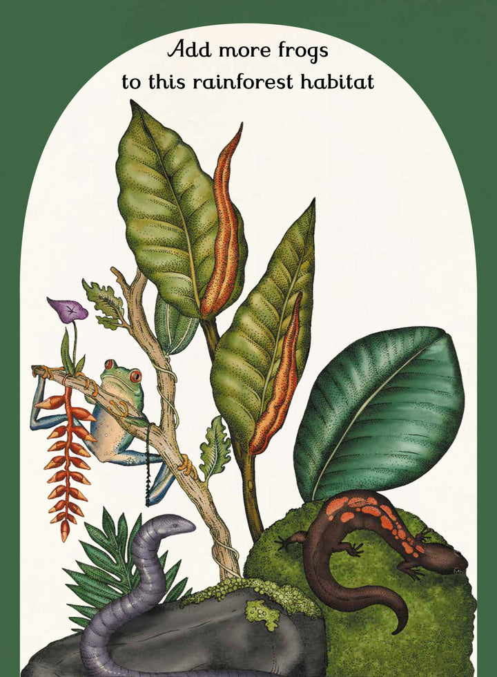 Animalium Activity Book