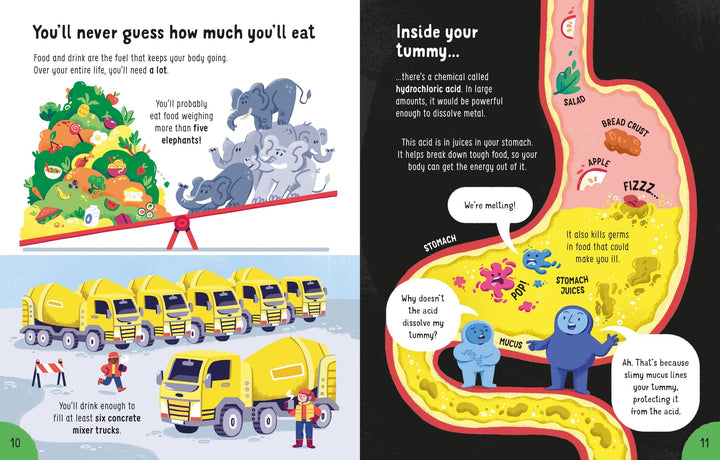 Usborne -Big Book of Things to Know