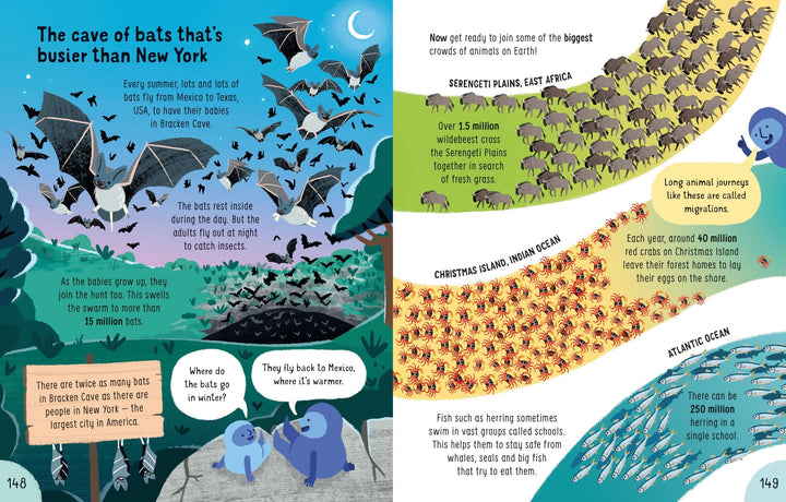 Usborne -Big Book of Things to Know
