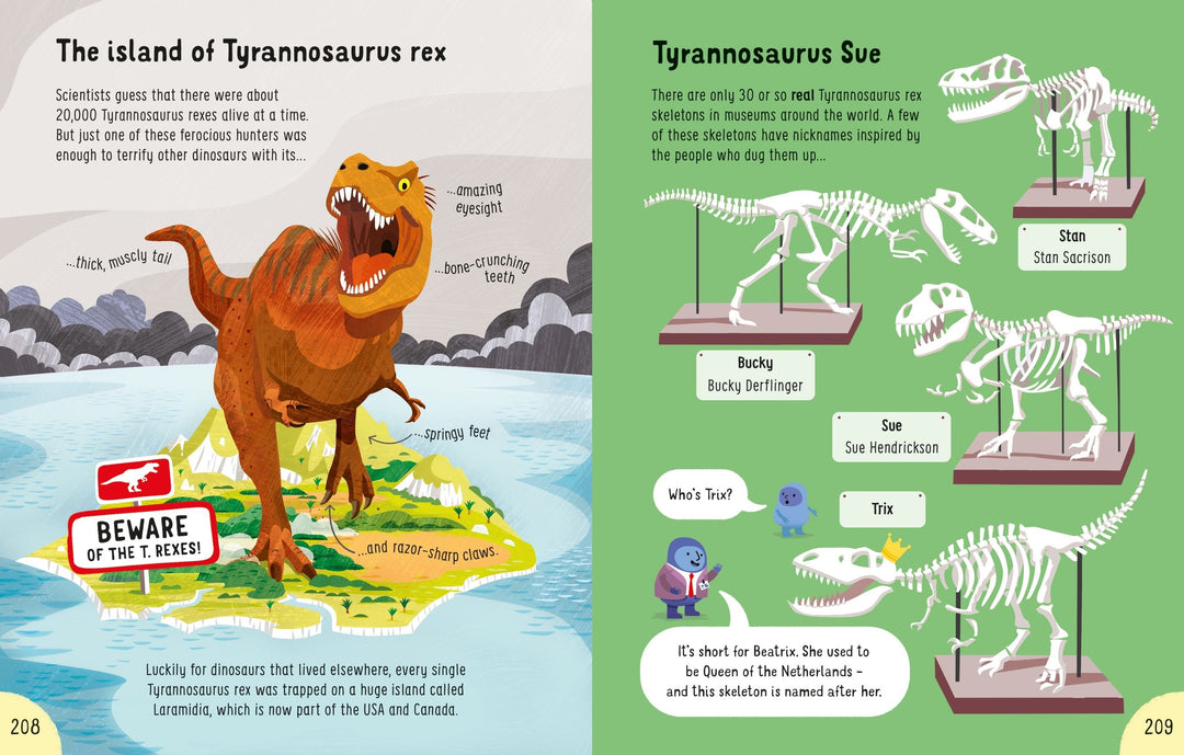 Usborne -Big Book of Things to Know