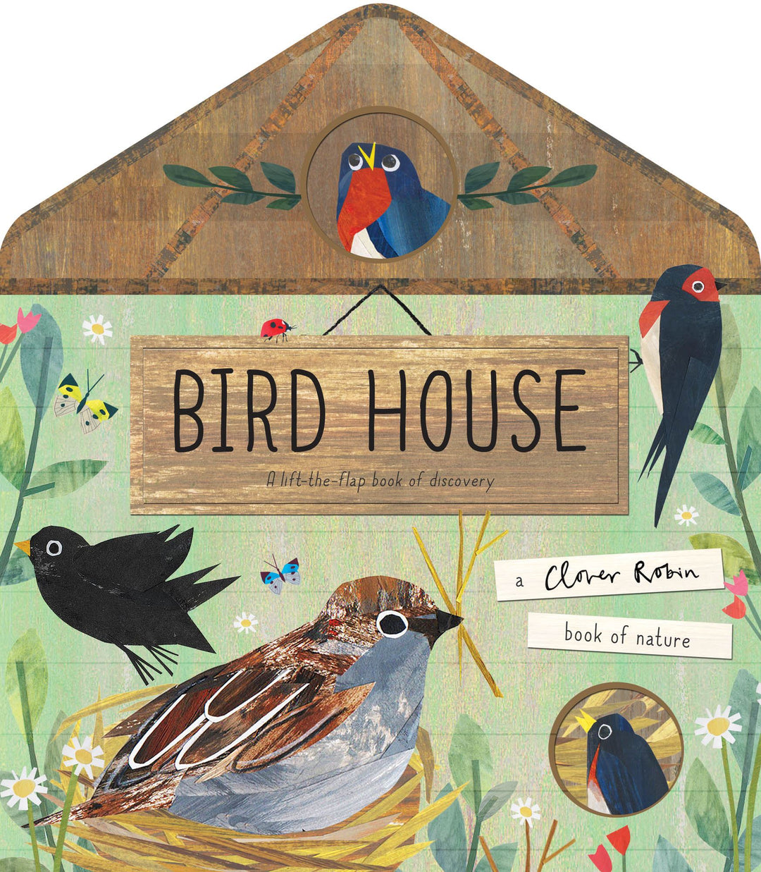 Lift the Flap - Bird House