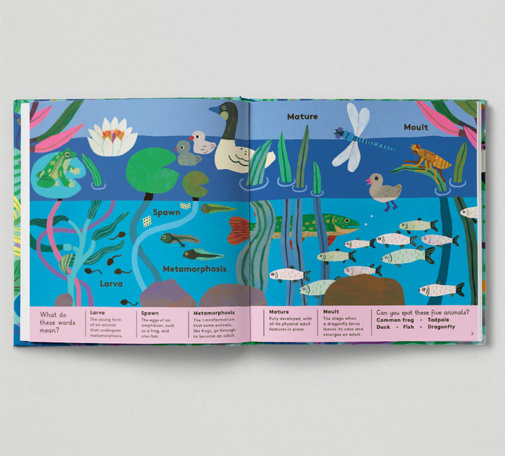 Animal Words For Little Zoologists - Mabel & Fox