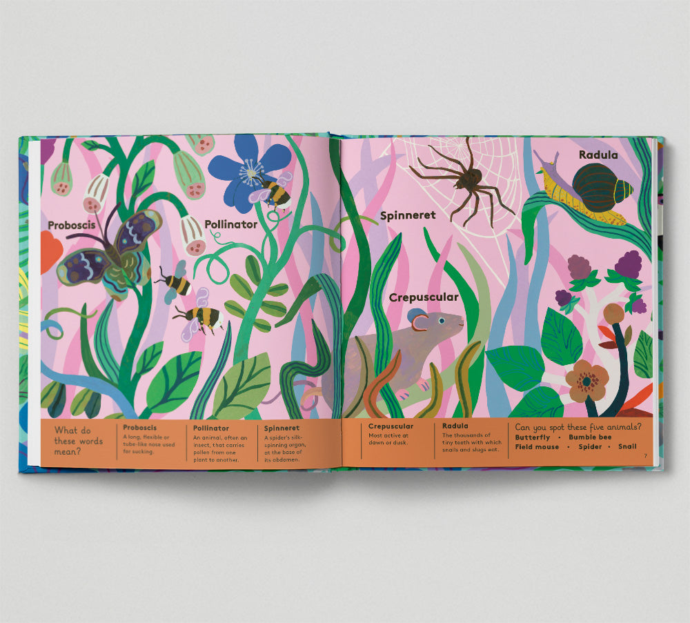 Animal Words For Little Zoologists - Mabel & Fox