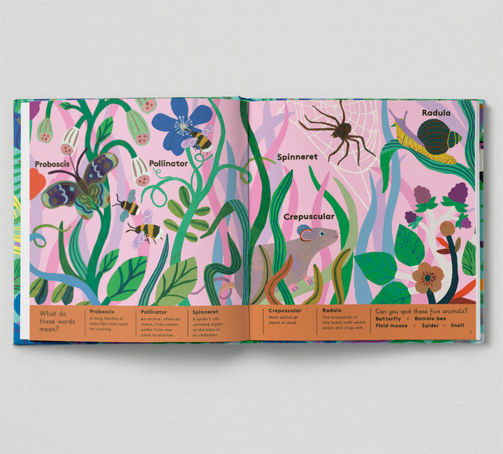 Animal Words For Little Zoologists - Mabel & Fox