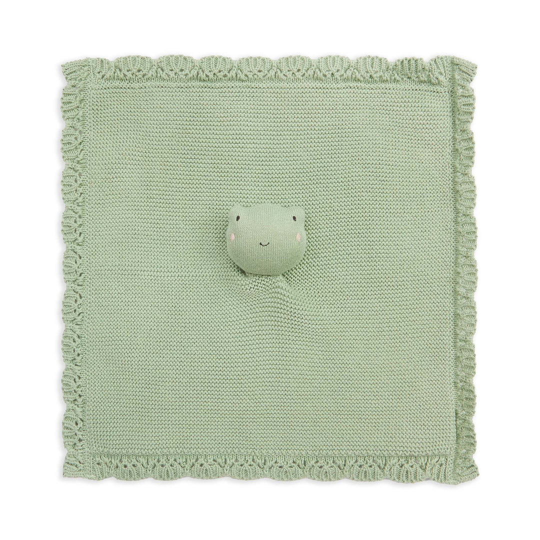 Avery Row - Cuddle Cloth - Frog